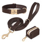 Personalized Dog Collar Leash Bag Set Custom PU Leather Dog Collars Colorful Pet Necklace With Leashes Poop Bag for Dogs Pug