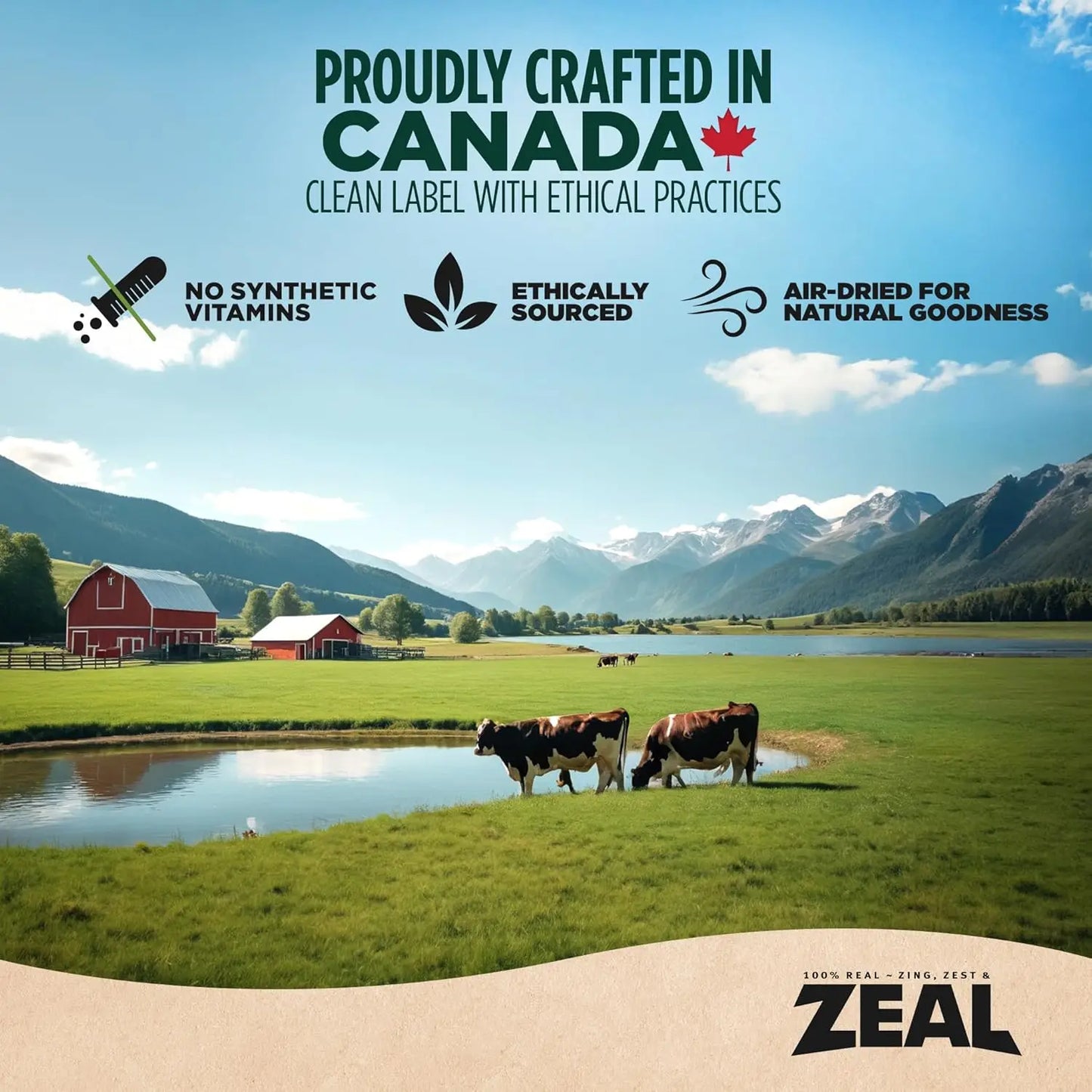 Canada Air-Dried Beef Dog Food - High Protein, Grain Free, No Fillers, Nutrient-Rich (1 lb)