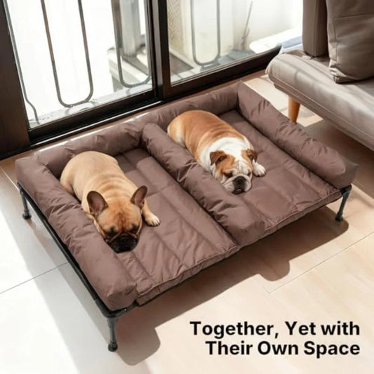 Cooling Raised Dog Beds + Waterproof Double Dog Bed Cushion for Two Medium Dogs Elevated Pet Cot with Removable Bolster Mat Bre