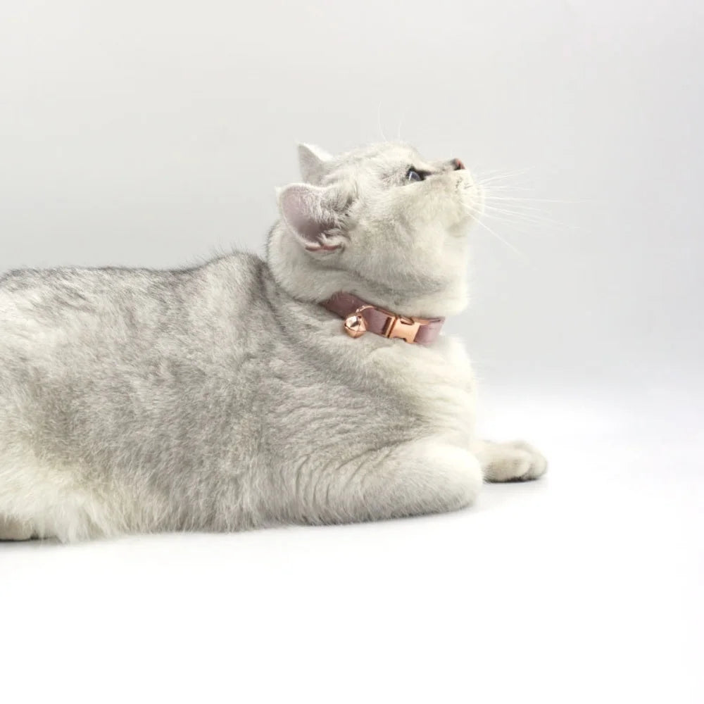 Custom Cat Collars With Personalized Text Free Laser Engraving Suitable For Kittens Puppies Pet Accessories And Anti-Lost Collar
