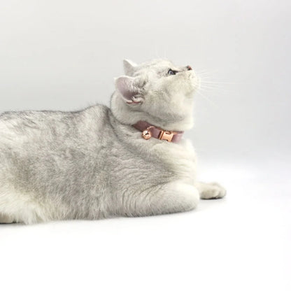 Custom Cat Collars With Personalized Text Free Laser Engraving Suitable For Kittens Puppies Pet Accessories And Anti-Lost Collar
