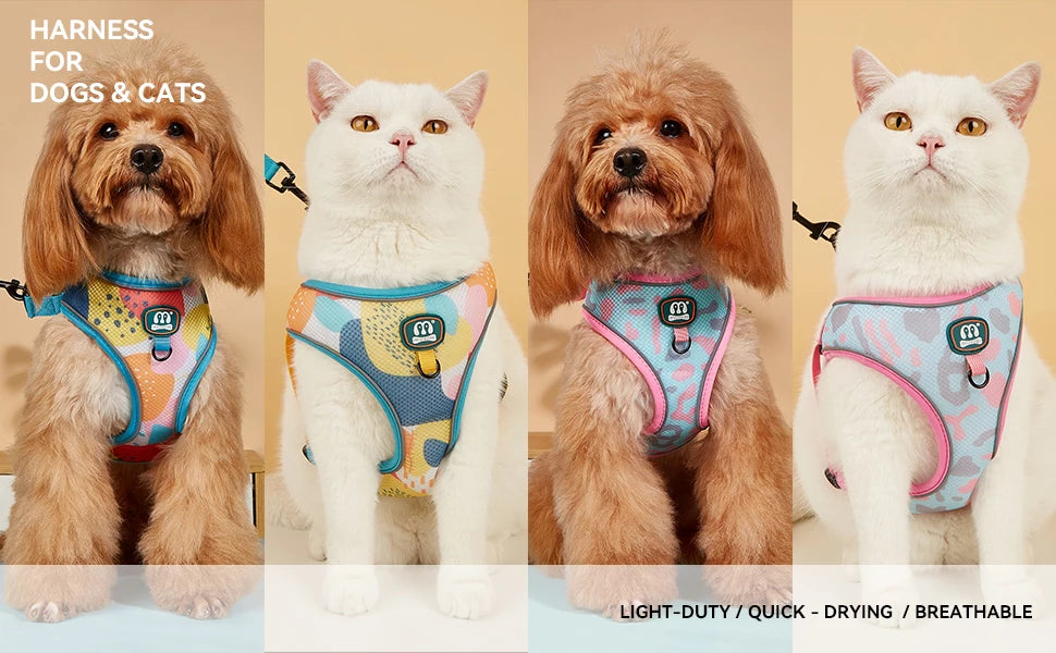 New Arrives Adjustable Soft Mesh With Fashionable Design Pet Harness And Leash Set