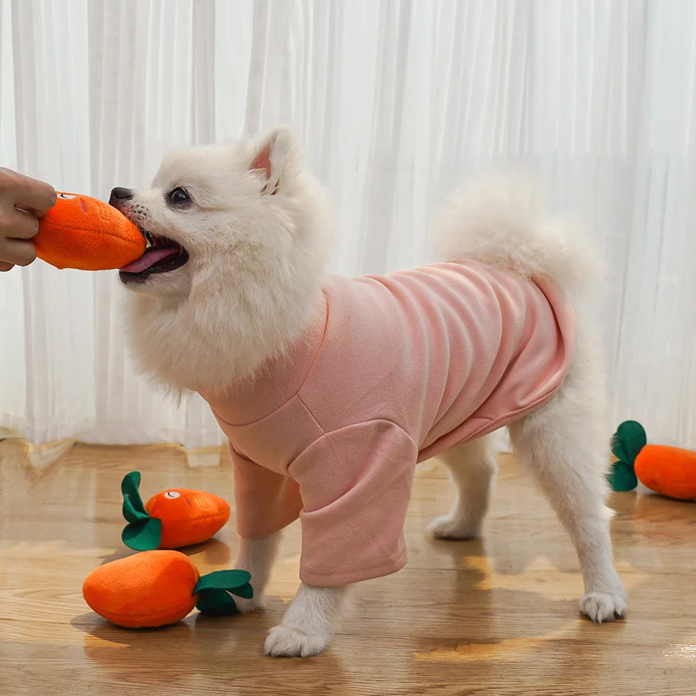 Cute Bone Chicken Leg Fruit Carrot Plush Pet Toys Squeaky Durable Chew Toys for Dogs Cats Interactive Bite Resistant Teething Pe