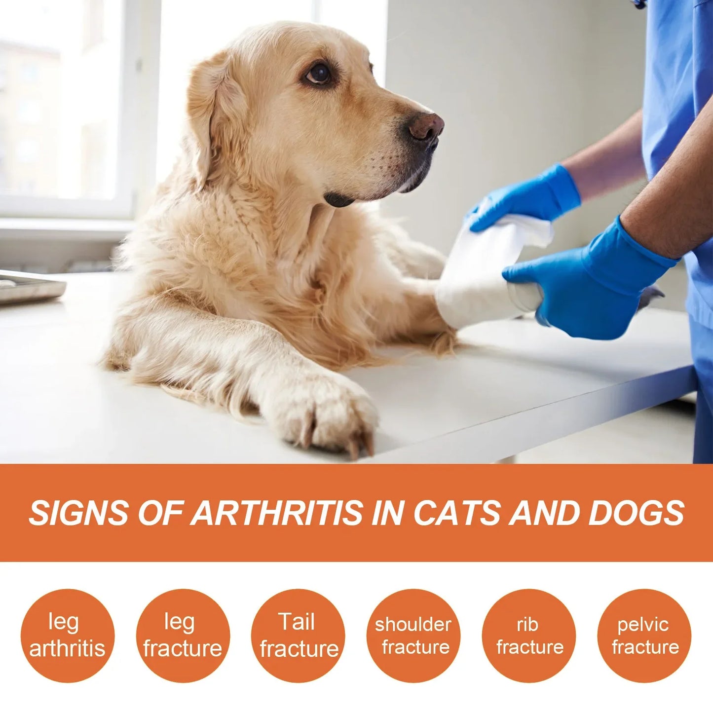 Pet Joint Repair Spray Dog Cat Bone Deformity Osteoarthritis Healing Multifunctional Joint Care Liquid Pet Bone Care Supplies