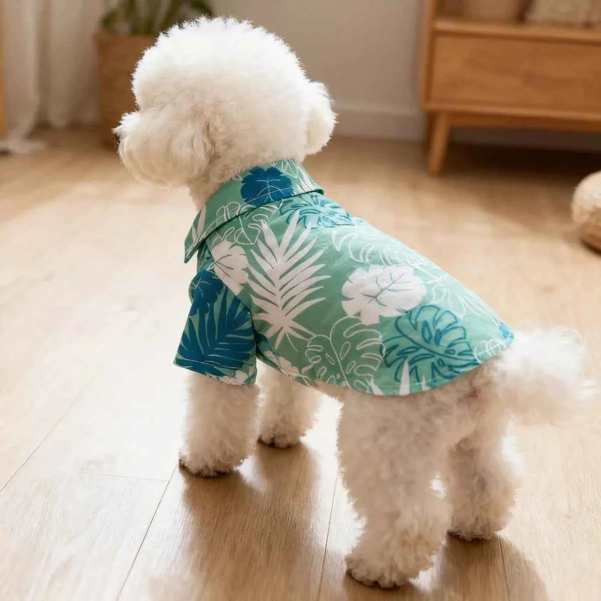 Cat Flower Shirt, Lightweight Spring and Summer Anti-static Wool, Persian Blue Gradient, Dog and Cat Pet Clothing