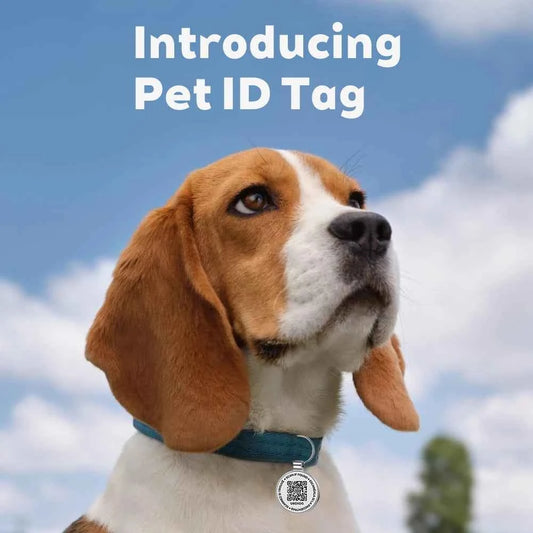 QR ID Pet Tag, Metal Dog Tag with QR Code, Real-time Scan Alerts, Record Pet Profile, No Subscription or Fees