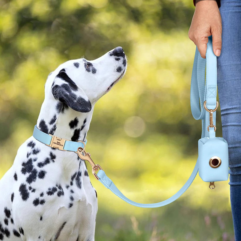 Personalized Dog Collar Leash Bag Set Custom PU Leather Dog Collars Colorful Pet Necklace With Leashes Poop Bag for Dogs Pug