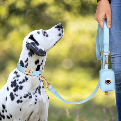 Personalized Dog Collar Leash Bag Set Custom PU Leather Dog Collars Colorful Pet Necklace With Leashes Poop Bag for Dogs Pug