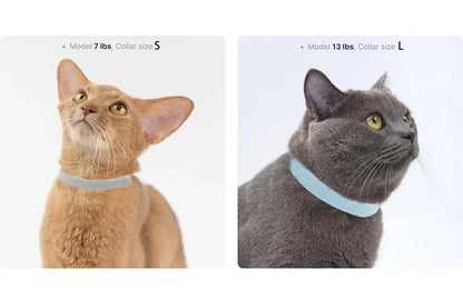 cute Safety Cat Collar Stretch Elastic Collars, Fashion Light Weight Kitten Collar for All Small Large Cat,Puppy Pet Accessories