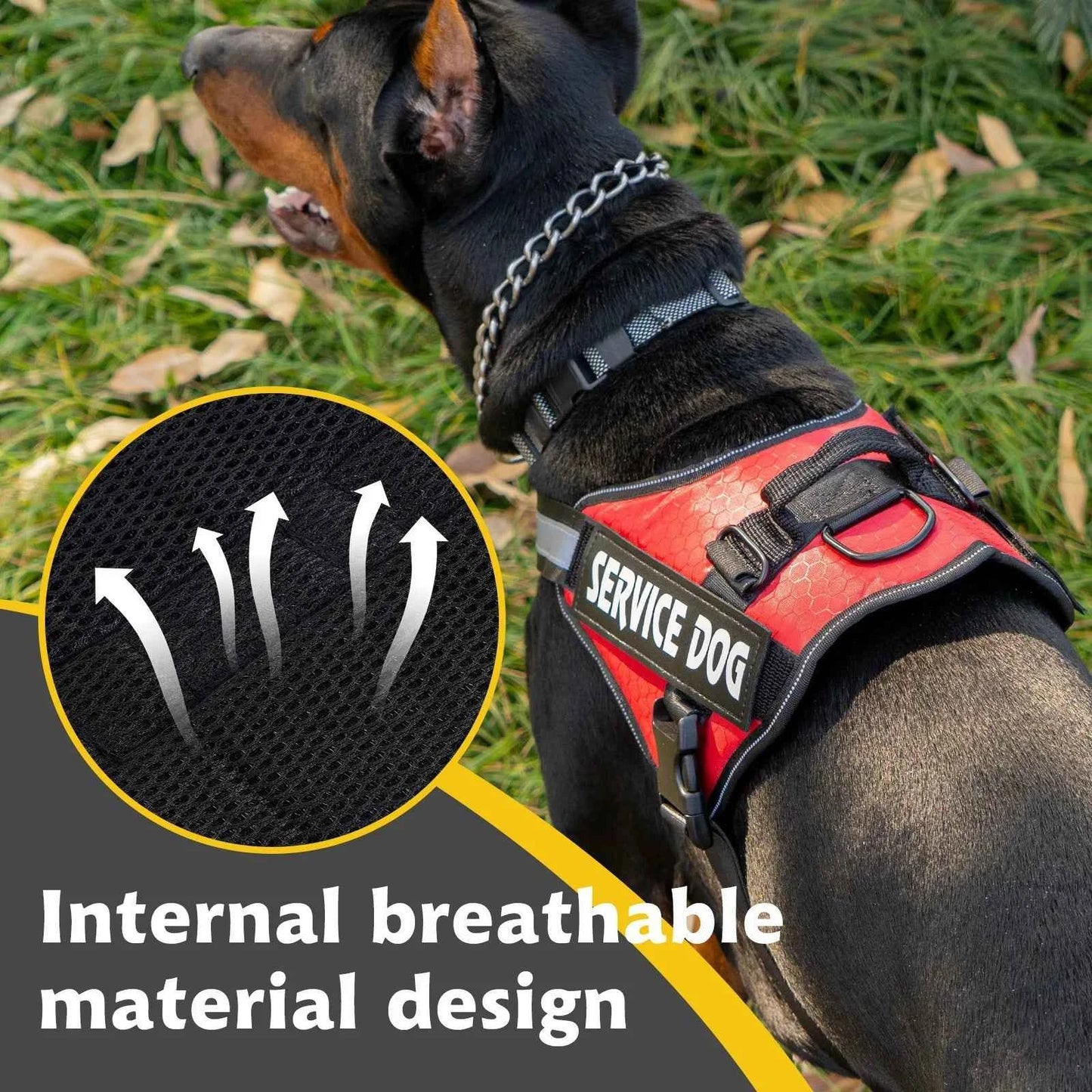Chest Strap Dog Vest Harness Medium and Large Dog Border Collie Golden Hair Bucket Explosion proof Flushing Dog Harness