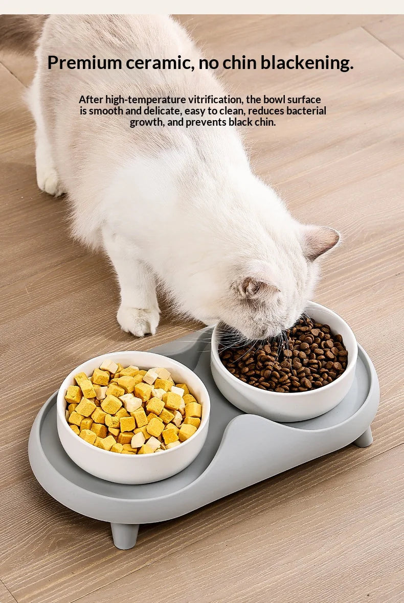 Ceramic Double Pet Bowl Elevated Design - Non-Tip Stable Large Capacity Cat Dog Food Water Dish Ant Proof Feeder