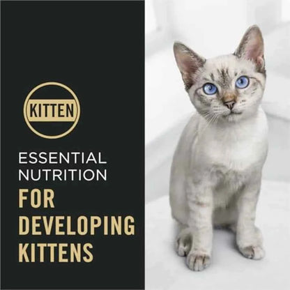 Kitten Dry Food Complete Essentials Chicken and Rice Formula - 16 lb. Bag