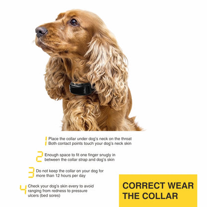 Dog Training Bark Collar 2 in 1 No Bark Control Collar 800M Rechargeable Dog Electric Collar Remote Waterproof Dog Pet Product