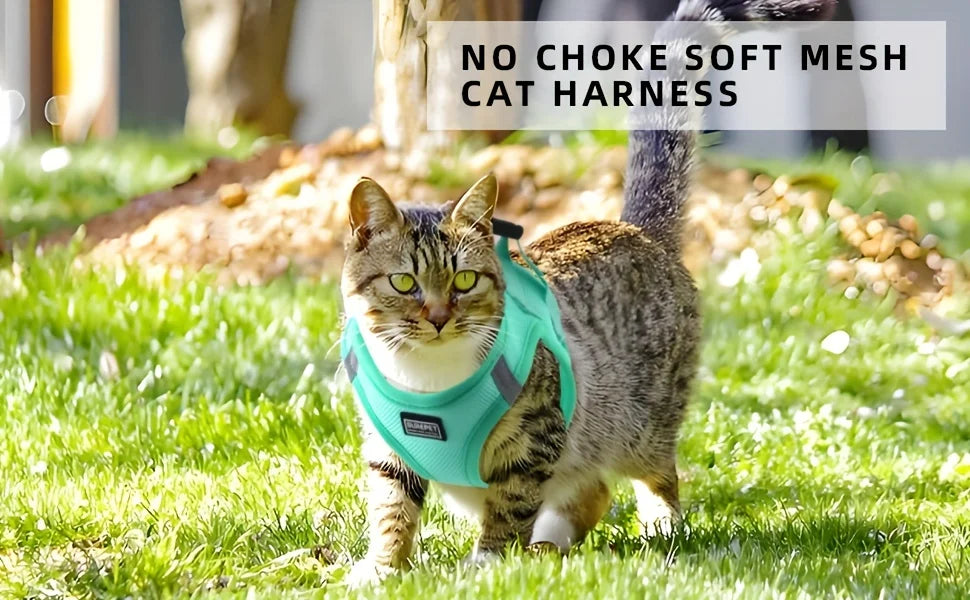 Adjustable cat harness with reflective tape, soft and breathable vest, suitable for walking and preventing escape