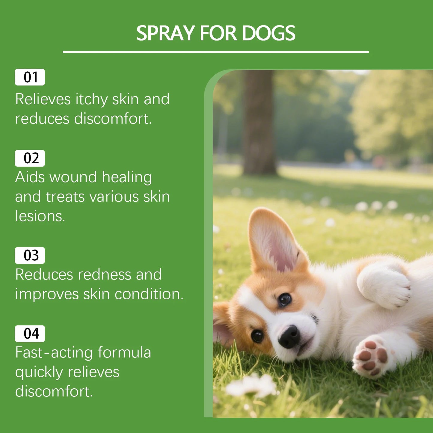 Yegbong Dog Skin Spray – Thoughtful protection, gentle and fast-acting care for skin discomfort, clean and comfortable spray