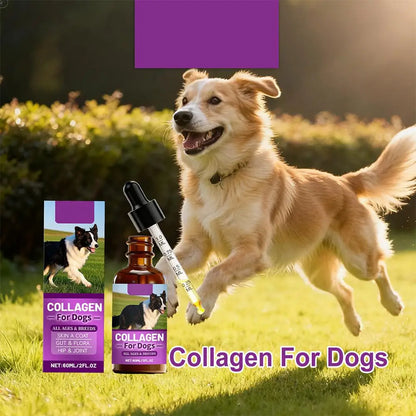 Dog Collagen Absorbable Drops Pet Cleaning & Nutritional Care - Skin Hair Intestinal Joint Health Support Daily Pet Supplement
