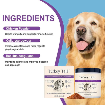 1/3PCS Dog Gut Health Powder 100g Probiotic Intestinal Support Bacon Flavor Chicken Meal Digestive Aid Joint Comfort Immune Care