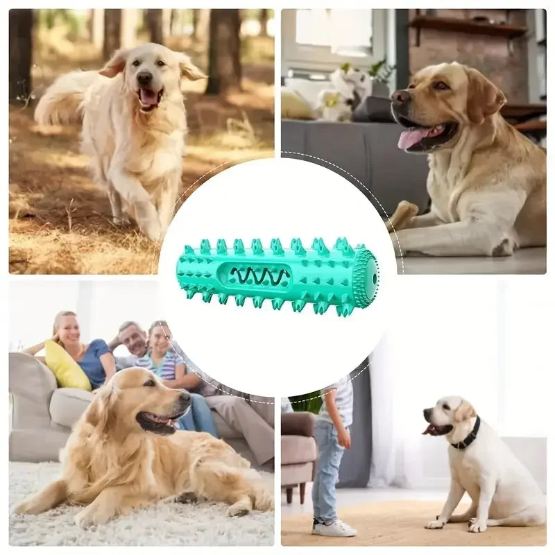 Vet-Approved Dental Chew Stick - 3-in-1 Cooling Toothbrush Toy for Small/Medium Dogs, Summer Teeth Cleaning & Gum Massage