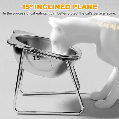 Elevated Cat Bowls for Small Dogs 5.9" Indoor Stainless Steel Raised Cat Bowl for Food Water 15° Titled Anti-Vomiting Dog Dishes