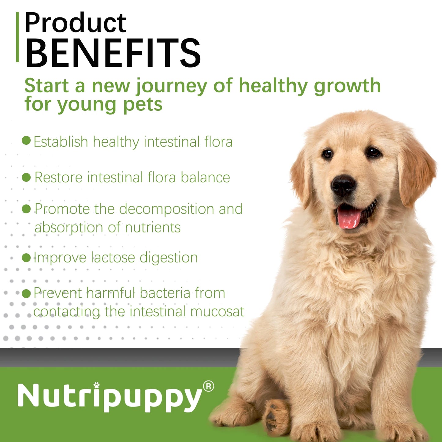 Dog Probiotic Powder Supplement - Supports Digestive Health&Relieves Diarrhea,Boosts Immune System for Puppy Adult Senior Dogs