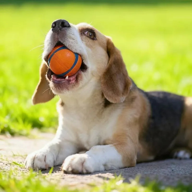 Dog Toy Ball Dog Fetch Ball Toy Tough Pet Ball Puppy Chew Toy Solid Elastic Jumping Ball Pet Accessories For Large Medium Small