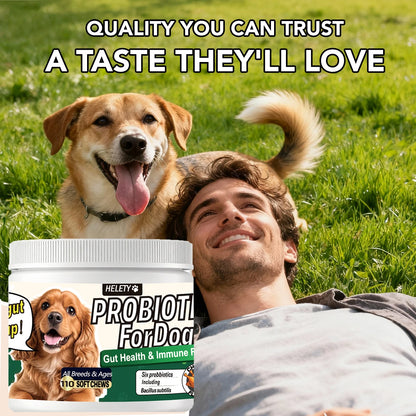 Probiotics for Dogs Digestive Health Soft Chews with Pumpkin & Fish Oil 120 Count Gut Health Itchy Relief Dog Probiotic Suppleme