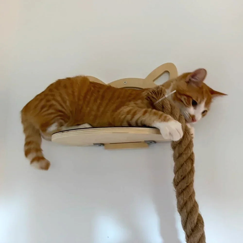 Wall Mounted Cat Scratching Hammock House Activity Tree Tower Sisal Scratcher Posts Rope Ladder Pet Furniture Indoor Cat Walkway