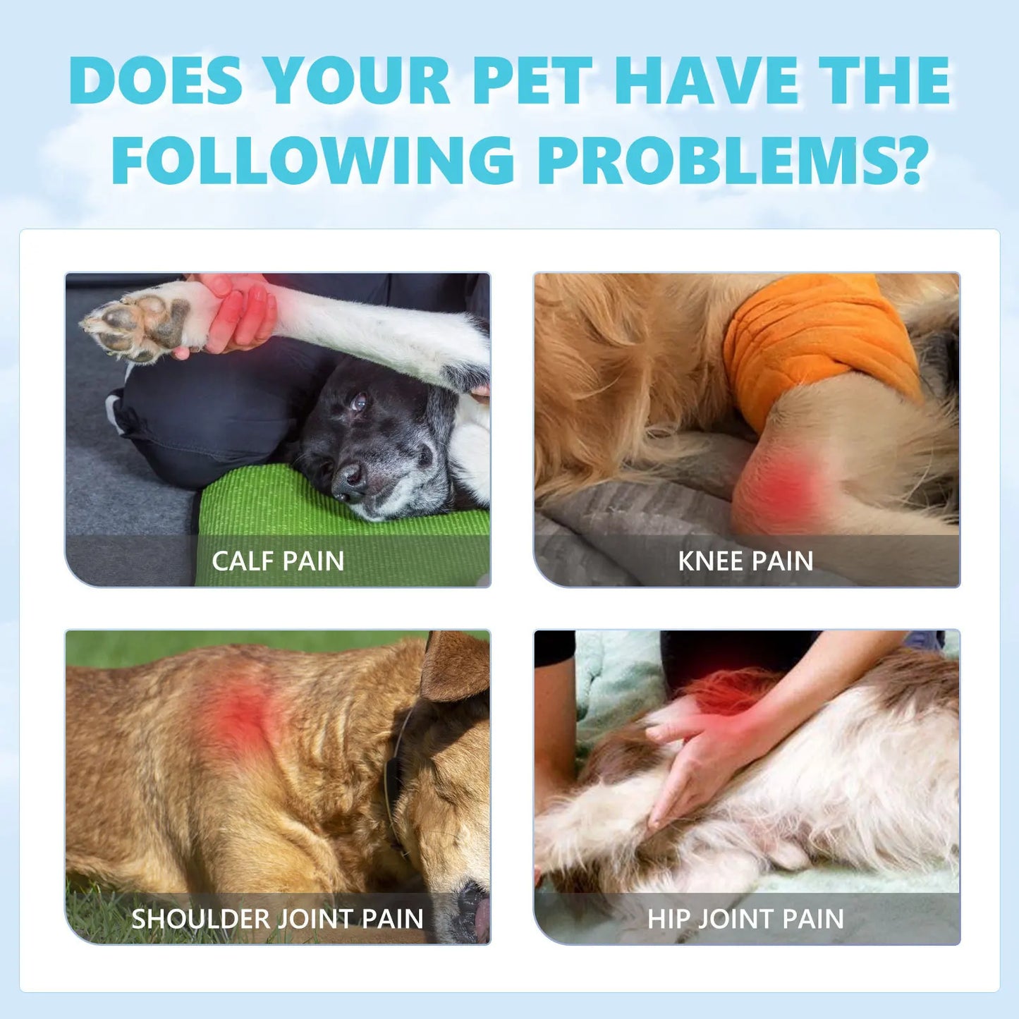 Dog Joint Glucosamine Drop Joint Hip Relief Joint Care Supplement Arthritis Deformities Repair Condition Bone Pet Body Care Drop