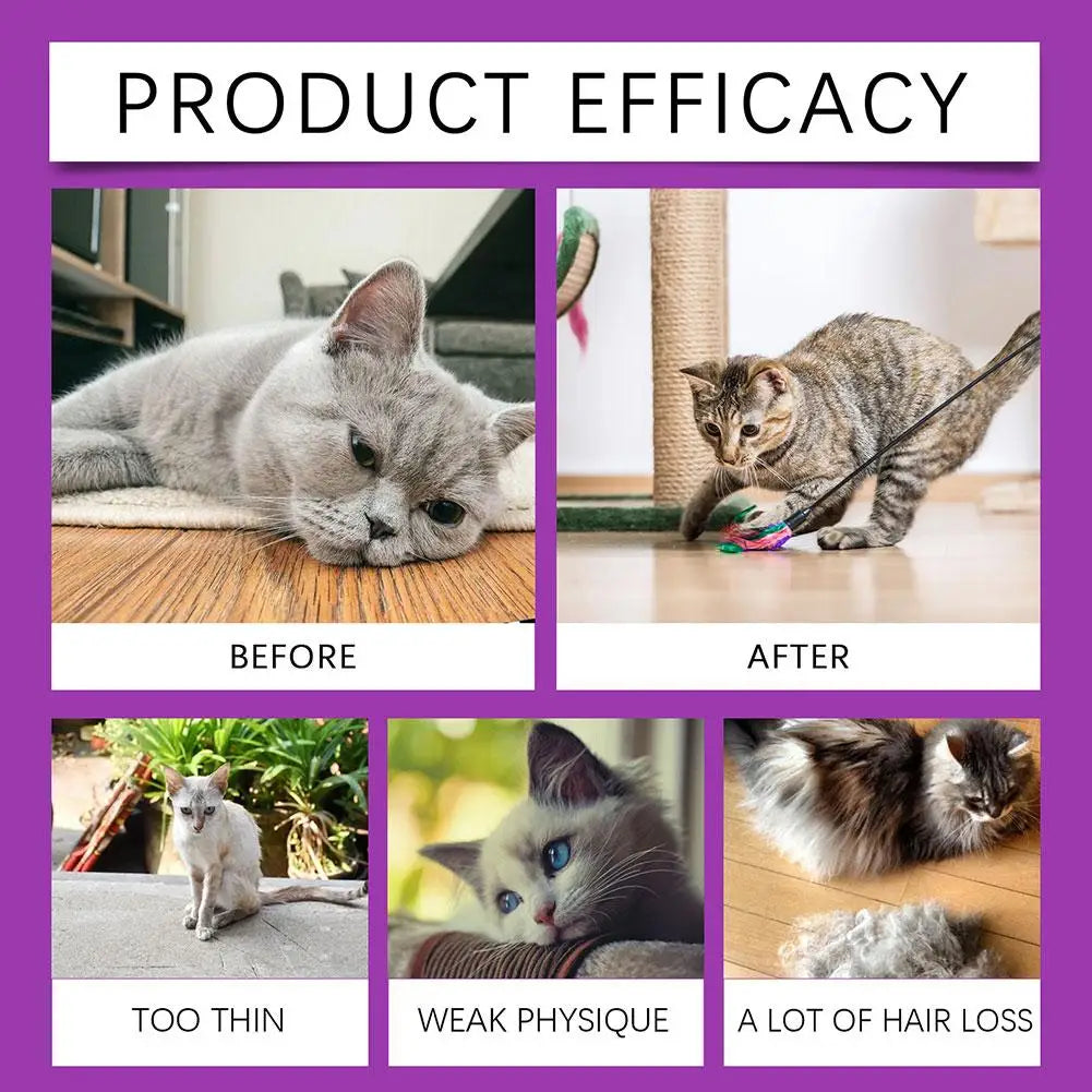 Cat Supplement All-in-1 Multi Liquid Body Care Drops Daily Supplement 60ml Body Care Drops For Supports Joint Care Skin & Coat