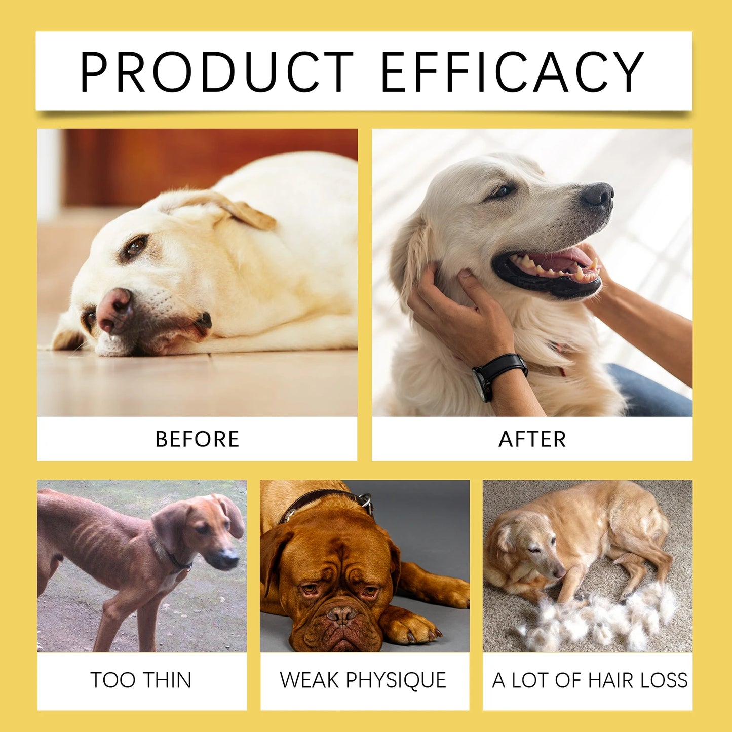YEGBONG 60ml Herbal Anti Inflammatory Pet Supplement Liquid Drops Natural Support for Dogs and Cats with Sensitive Skin Stomach