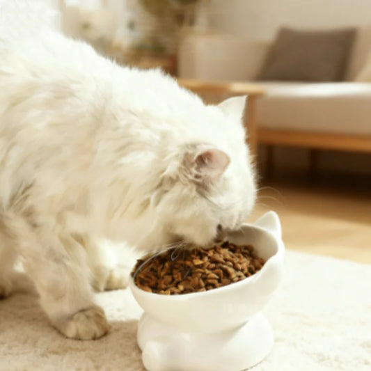 Cat Bowl Pet Accessories Ceramic Diagonal High Feet Cute Protection Cervical Spine Dog Bowl Drink Water Bowl Pet Supplies - Pet Suppie