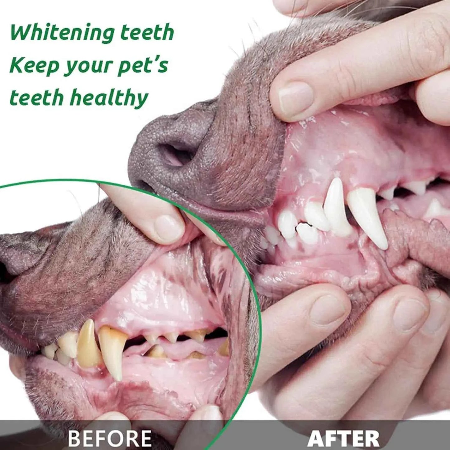 100g Pet Tooth Powder for Dog Cat Teeth Cleaning Dental Freshener with Probiotics for Bad Breath Plaque Tartar Oral Hygiene