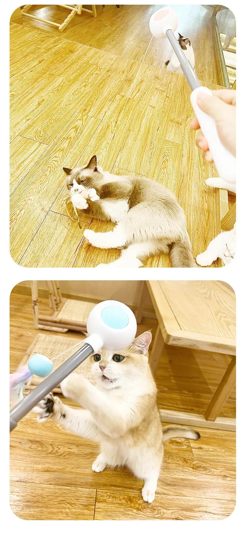 Gravity Cat Wand Interactive Feline Toy Self Play Feather Bell  Catnip Kitten Entertainment Pet Accessory Playtime Wand Fun Toy