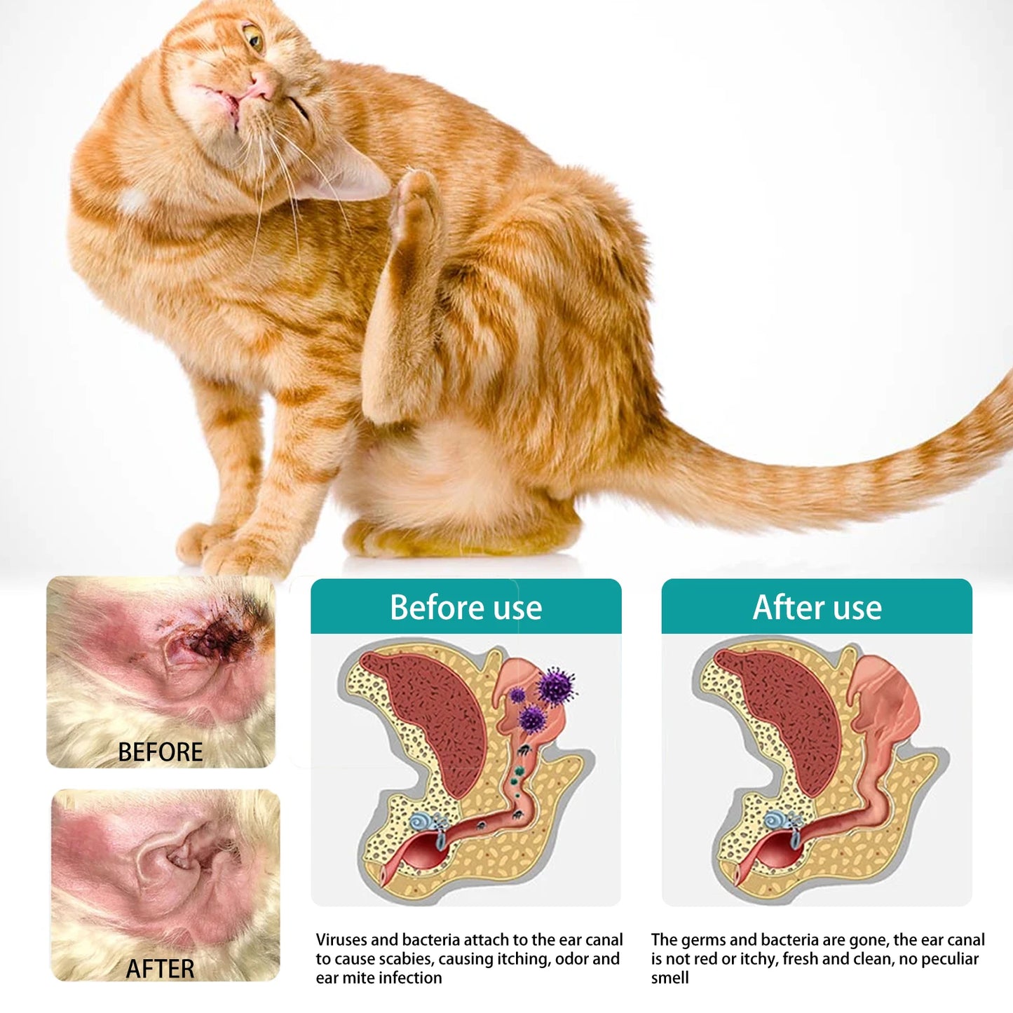 Pet Cleaning Finger Wipes Cats Dogs Remover Eye Tear Ear Mite Stains Disposable Cleaner Wipe Non-irritating Pets Beauty Products