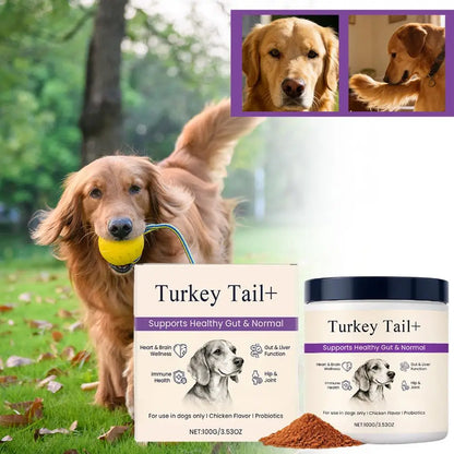 Bacon Flavor Dog Probiotic Powder Gut Flora Balance Digestive Aid Intestinal Health Care For Puppy Adult Dogs