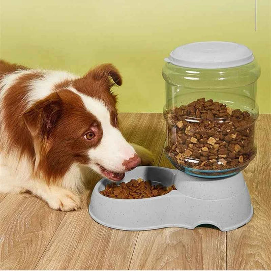 Cat and Dog Feeders Pet Water Dispensers Large Water Storage Capacity Dispensers Pet Automatic Water Dispensers Anti Knock