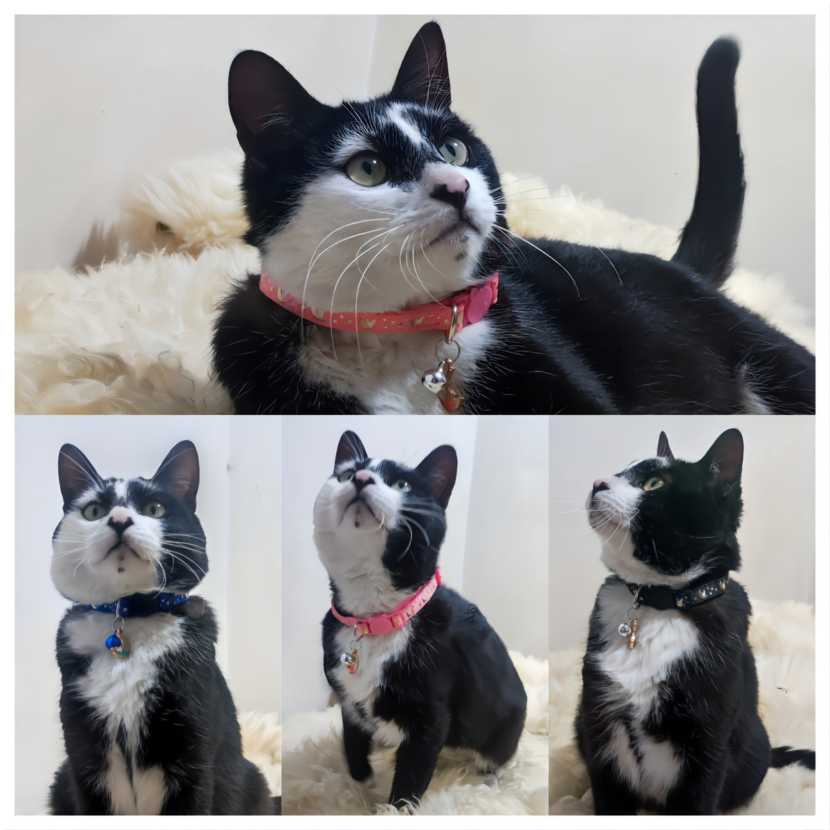 Luminous Cat Collar, Moon And Star Print Cat Collar, Adjustable Cat Collar, Safety Cat Collar